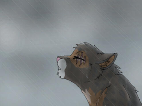 id: a digital bust drawing of Spotty the abyssinian mix cat. her fur is dark brown with orange-brown accents, black spots, and white tipped nose. a clawmark scars her left eye, which is closed. she tilts her head back in a strong rain /end id