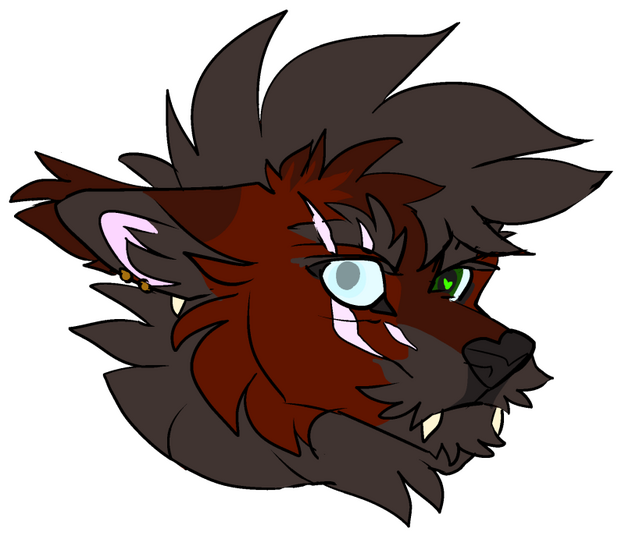 id: a digital headshot drawing of Althezar Sootfang the canid. they are wolf-like with fluffy, dark red fur. their mane is dark brown, matching their scruffy muzzle, ear fur, and eyebrows. their nose is black, and ear piercings are gold and ivory /end id